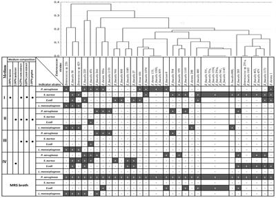 Screening of bacteriocin-producing dairy Enterococcus strains using low-cost culture media